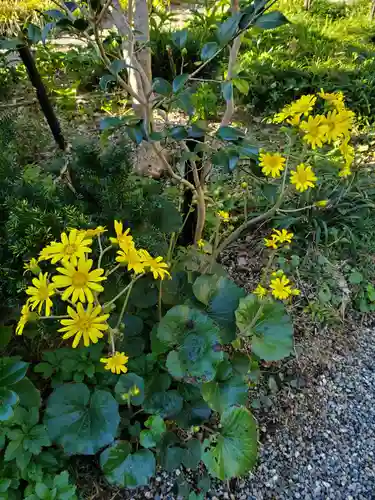 沙沙貴神社の自然
