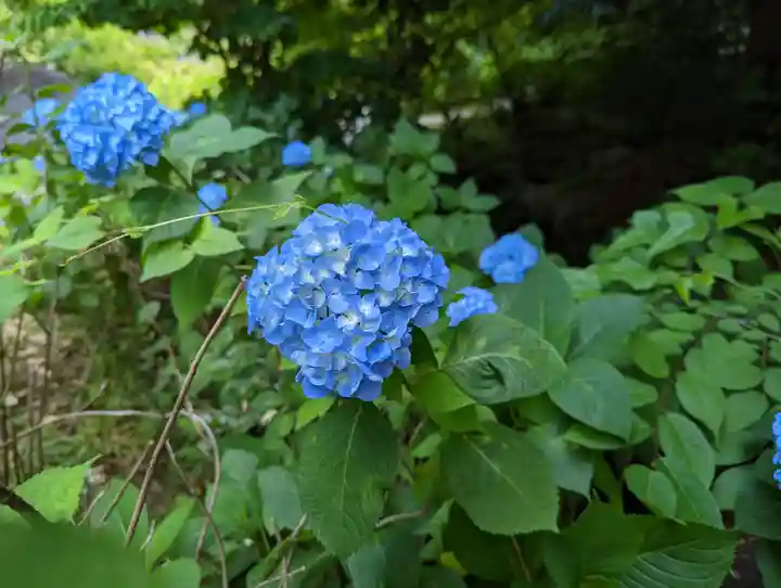 智積院(京都府)