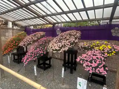 亀戸天神社(東京都)