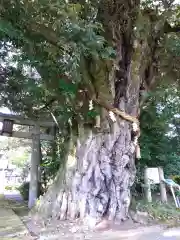 阿志都彌神社・行過天満宮(滋賀県)