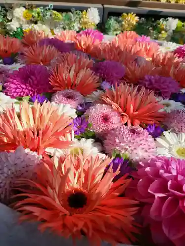 法輪寺(東京都)