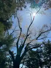 祠(神奈川県)