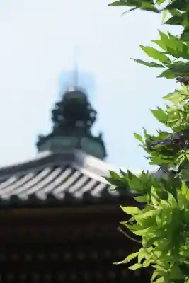 興福寺 南円堂(奈良県)