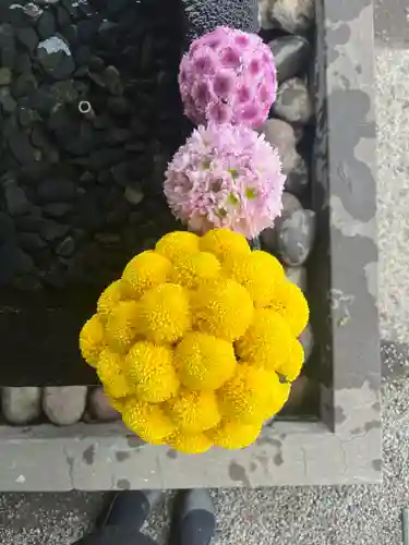 上尾御嶽神社(埼玉県)