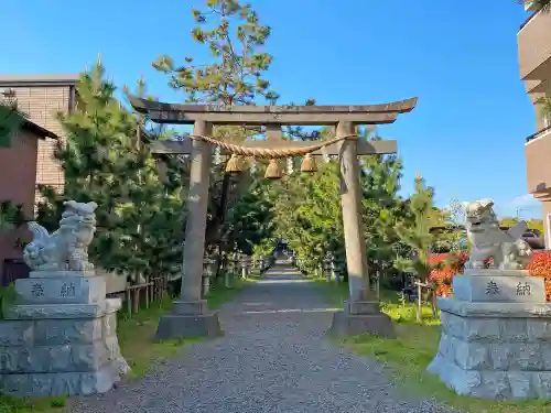 鶴嶺八幡宮の狛犬