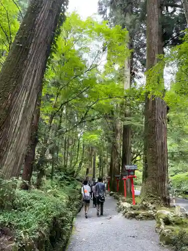 貴船神社奥宮(京都府)