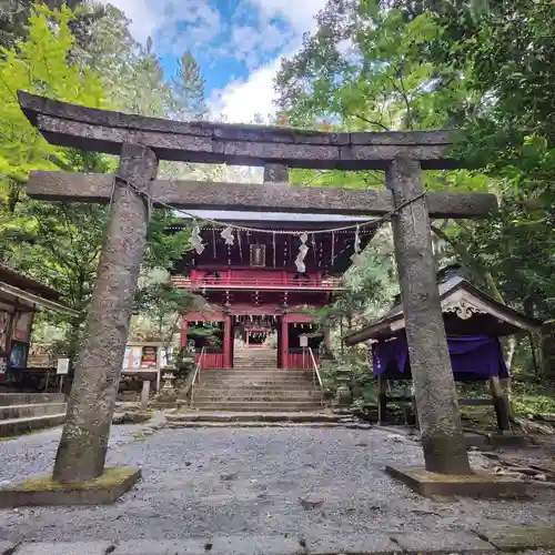 花園神社の鳥居