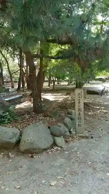 三方原神社の自然