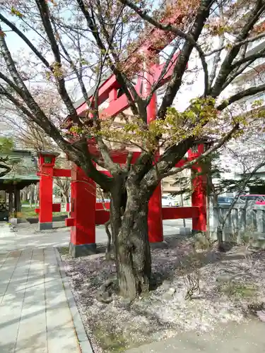 彌彦神社　(伊夜日子神社)の自然