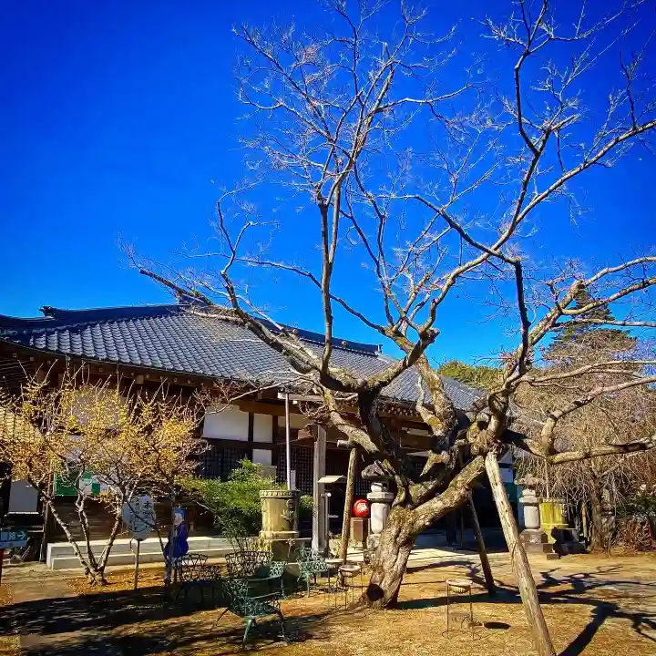 元三大師安楽寺の本殿・本堂