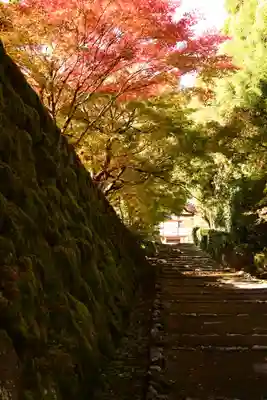 正伝護国禅寺(正伝寺･正傳寺)(京都府)