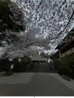 所澤神明社(埼玉県)