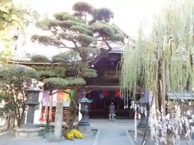 頂法寺(六角堂)の本殿・本堂