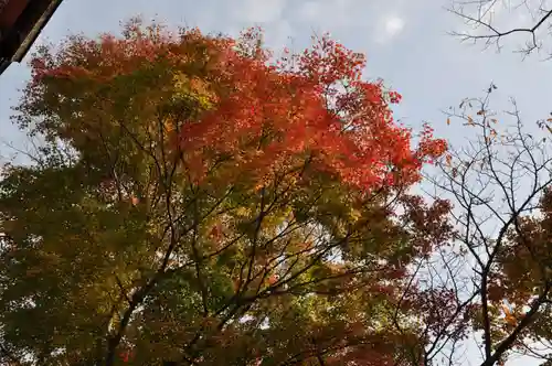 談山神社の自然