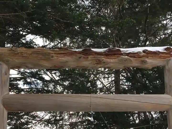 大鳥神社の鳥居
