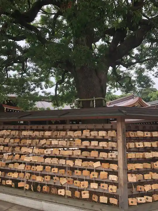 明治神宮(東京都)