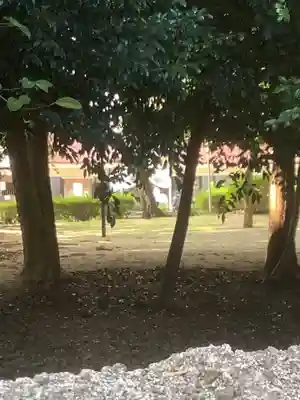 伊多波刀神社(愛知県)