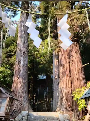 鹿島大神宮の自然