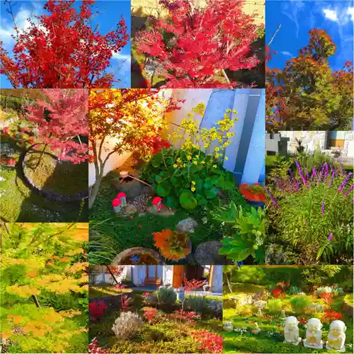 寿量山　速成寺(奈良県)