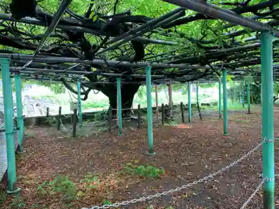 西寒多神社の自然