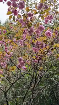 宝積寺(京都府)
