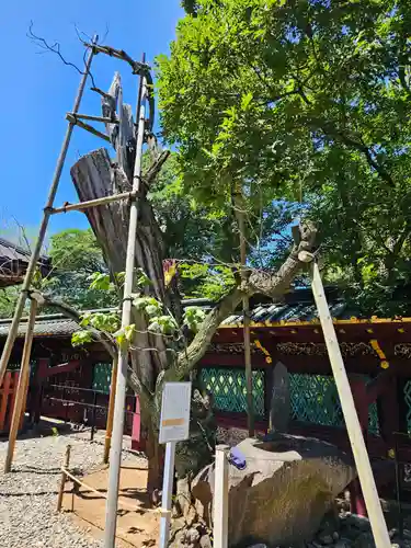 上野東照宮(東京都)