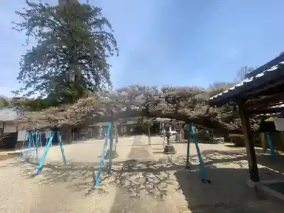 滝仙寺(三重県)