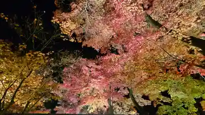 宝厳院(京都府)