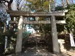 上野東照宮の鳥居