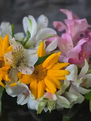 富良野神社(北海道)