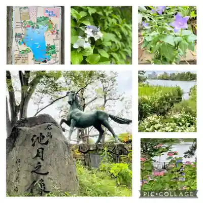 千束八幡神社(東京都)