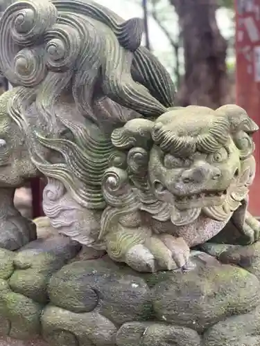 芳葉岡冨士 浅間神社の狛犬