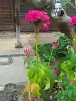 密蔵院(東京都)