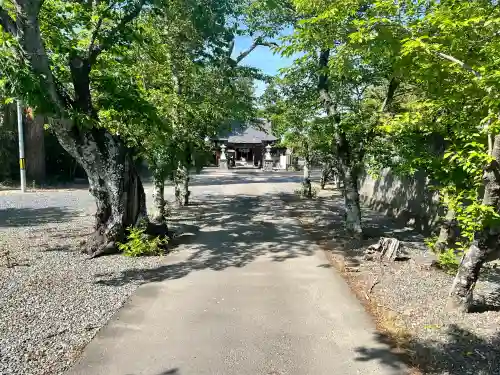 若宮八幡神社の{uncategorized: "未分類", other: "その他", undefined: "問題あり", building: "その他建物", grave: "お墓", sacred_gate: "鳥居", guardian: "狛犬", statue: "像", buddha: "仏像", history: "歴史", nature: "自然", garden: "庭園", animal: "動物", pagoda: "塔", temizu: "手水舎", mountain_gate: "山門・神門", sanctuary: "本殿・本堂", subordinate: "末社・摂社", art: "芸術", scenery: "景色", jizo: "地蔵", ema: "絵馬", goshuin: "御朱印", omikuji: "おみくじ", items: "授与品その他", amulet: "お守り", goshuincho: "御朱印帳", eats: "食事", festival: "お祭り", votive_dance: "神楽", shichigosan: "七五三参", wedding: "結婚式", experience: "体験その他", initially: "初詣", around: "周辺", anti_infection: "感染症対策"}