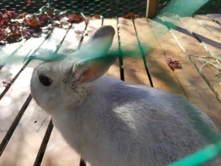 高山神社(群馬県)