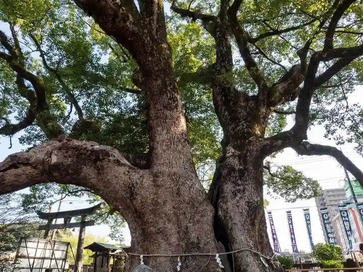 諫早神社(九州総守護 四面宮)(長崎県)