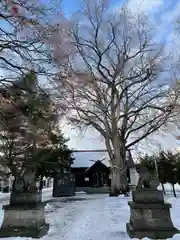 中の島神社(北海道)