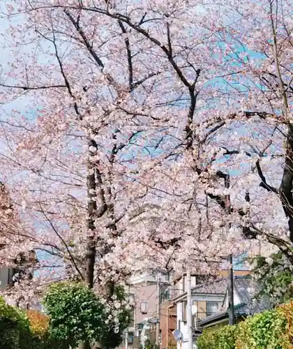 中曽根神社の自然