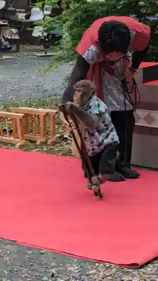 長岡天満宮(京都府)