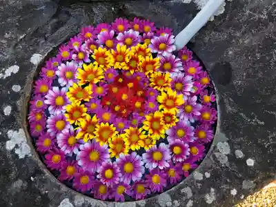 真言宗　善通寺派　薬王寺(香川県)