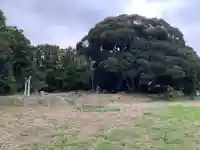 一夜山太神(千葉県)