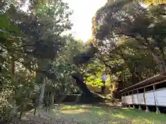 天照大神社の建物その他