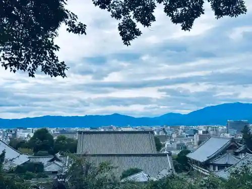 知恩院の{uncategorized: "未分類", other: "その他", undefined: "問題あり", building: "その他建物", grave: "お墓", sacred_gate: "鳥居", guardian: "狛犬", statue: "像", buddha: "仏像", history: "歴史", nature: "自然", garden: "庭園", animal: "動物", pagoda: "塔", temizu: "手水舎", mountain_gate: "山門・神門", sanctuary: "本殿・本堂", subordinate: "末社・摂社", art: "芸術", scenery: "景色", jizo: "地蔵", ema: "絵馬", goshuin: "御朱印", omikuji: "おみくじ", items: "授与品その他", amulet: "お守り", goshuincho: "御朱印帳", eats: "食事", festival: "お祭り", votive_dance: "神楽", shichigosan: "七五三参", wedding: "結婚式", experience: "体験その他", initially: "初詣", around: "周辺", anti_infection: "感染症対策"}