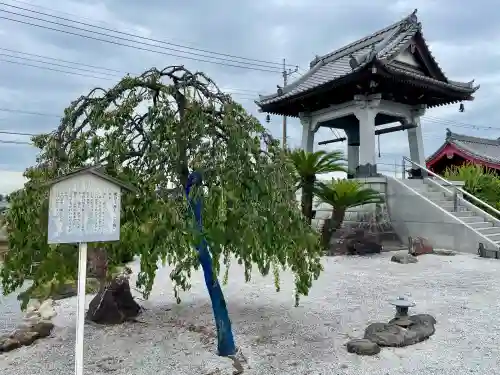 大信寺(群馬県)