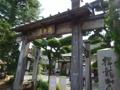 祥龍山 金剛寺の山門・神門
