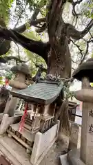 若一神社(京都府)