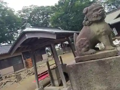 上町氷川神社の狛犬