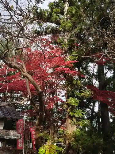 岡部春日神社～👹鬼門よけの🌺花咲く🌺やしろ～(福島県)