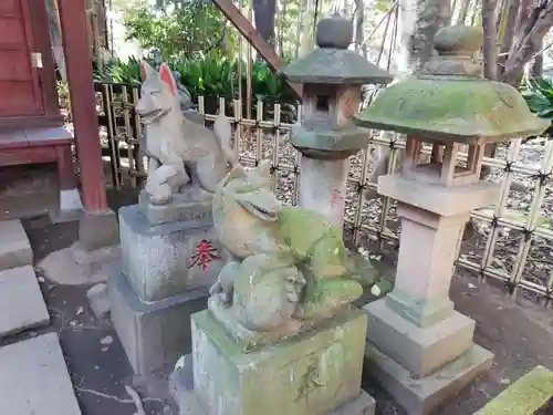 渋谷氷川神社の狛犬