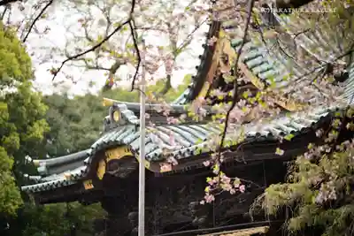 三嶋大社のその他建物
